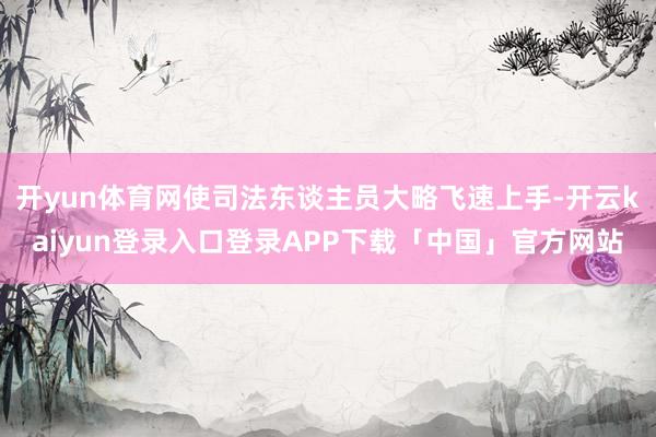 开yun体育网使司法东谈主员大略飞速上手-开云kaiyun登录入口登录APP下载「中国」官方网站